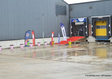 At Nursery P. van Geest Maasland, Selecta one, DHMI and Schoneveld were presenting their varieities.